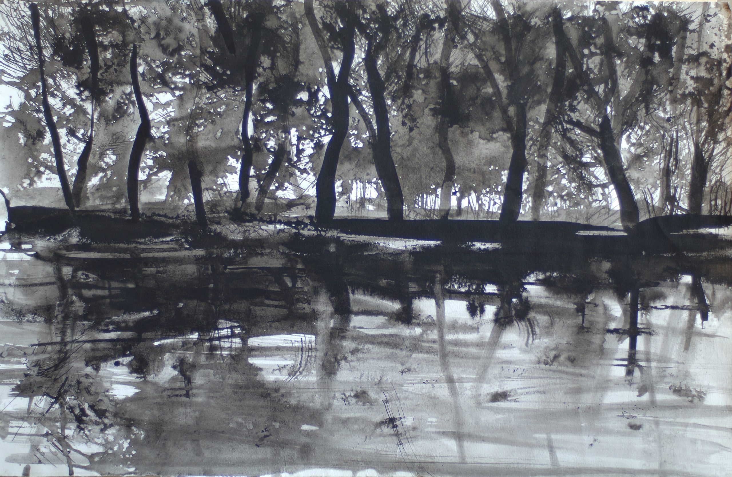 Bois en bord de lac Bois en bord de lac